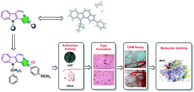Graphical abstract: New β-carboline derivatives containing imidazolium as potential VEGFR2 inhibitors: synthesis, X-ray structure, antiproliferative evaluations, and molecular modeling