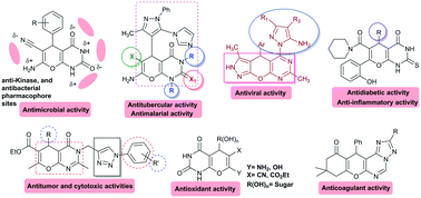 Graphical abstract: Insights into the recent progress in the medicinal chemistry of pyranopyrimidine analogs
