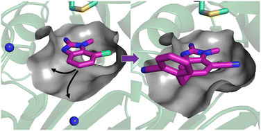 Graphical abstract: Fragment optimization and elaboration strategies – the discovery of two lead series of PRMT5/MTA inhibitors from five fragment hits