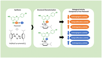 Graphical abstract: Anticancer evaluation of new organometallic ruthenium(ii) flavone complexes