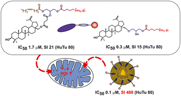 Graphical abstract: Novel triphenylphosphonium amphiphilic conjugates of glycerolipid type: synthesis, cytotoxic and antibacterial activity, and targeted cancer cell delivery