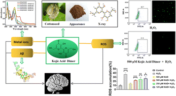 Graphical abstract: Synthesis and properties of the kojic acid dimer and its potential for the treatment of Alzheimer's disease