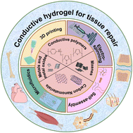 Graphical abstract: The fabrication of conductive material-decorated hydrogels for tissue repair