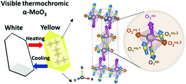 Graphical abstract: Cooperative coupling of anisotropic phonon modes intensifies visible thermochromism in layered α-MoO3