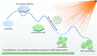Graphical abstract: Multistep nucleation visualized during solid-state crystallization