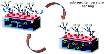 Graphical abstract: Chemiresistive NH3 detection at sub-zero temperatures by polypyrrole- loaded Sn1−xSbxO2 nanocubes