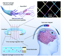 Graphical abstract: Mechanically and electrically biocompatible hydrogel ionotronic fibers for fabricating structurally stable implants and enabling noncontact physioelectrical modulation