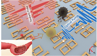 Graphical abstract: Photoactive terahertz metasurfaces for ultrafast switchable sensing of colorectal cells