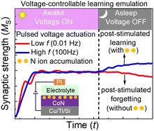 Graphical abstract: Frequency-dependent stimulated and post-stimulated voltage control of magnetism in transition metal nitrides: towards brain-inspired magneto-ionics
