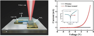 Graphical abstract: High performance 1D–2D CuO/MoS2 photodetectors enhanced by femtosecond laser-induced contact engineering