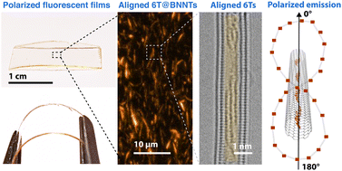 Graphical abstract: Fluorescence anisotropy using highly polarized emitting dyes confined inside BNNTs