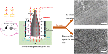 Graphical abstract: Reversing silicon carbide into 1D silicon nanowires and graphene-like structures using a dynamic magnetic flux template
