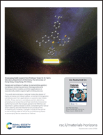 Graphical abstract: Inside back cover