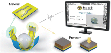 Graphical abstract: A wireless “Janus” soft gripper with multiple tactile sensors