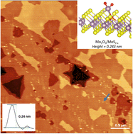 Graphical abstract: MoS2 oxidative etching caught in the act: formation of single (MoO3)n molecules