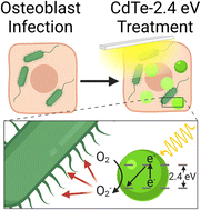 Graphical abstract: Photoactivated antibiotics to treat intracellular infection of bacteria