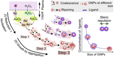 Graphical abstract: Precise size-control and functionalization of gold nanoparticles synthesized by plasma–liquid interactions: using carboxylic, amino, and thiol ligands