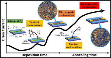 Graphical abstract: Electrical monitoring of organic crystal phase transition using MoS2 field effect transistor
