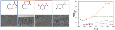 Graphical abstract: Hydroxynicotinic acid crystallisation and solubility systematic studies