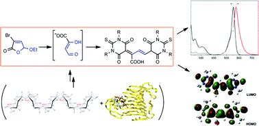 Graphical abstract: Synthesis and characterization of polymethine dyes carrying thiobarbituric and carboxylic acid moieties