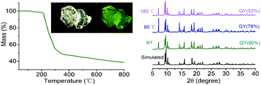Graphical abstract: A thermostable terbium(iii) complex with high fluorescence quantum yields