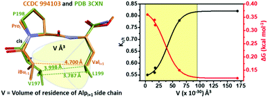Graphical abstract: van der Waals interactions to control amide cis–trans isomerism