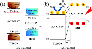 Graphical abstract: Facile preparation of BiOI/T-ZnOw p–n heterojunction photocatalysts with enhanced removal efficiency for rhodamine B and oxytetracycline
