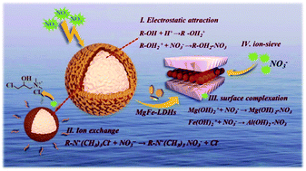 Graphical abstract: Adsorption of nitrate from water by quaternized chitosan wrinkled microspheres@MgFe-LDH core–shell composite