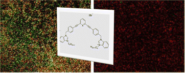 Graphical abstract: Synthesis and antimicrobial activity of novel bis-benzimidazolium salts