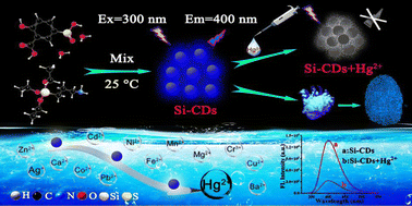 Graphical abstract: Green and facile synthesis of silicon-doped carbon dots and their use in detection of Hg2+ and visualization of latent fingerprints