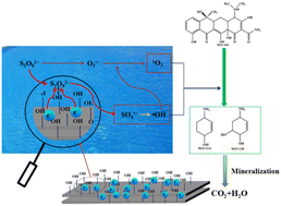 Graphical abstract: Natural coal gangue as a stable catalyst to activate persulfate: tetracycline hydrochloride degradation and its explored mechanism