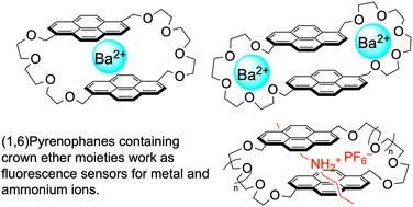 Graphical abstract: (1,6)Pyrenophanes containing crown ether moieties as fluorescence sensors for metal and ammonium ions. Formation of sandwich, dumbbell, and pseudorotaxane complexes