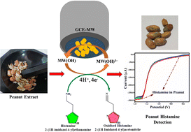 Graphical abstract: Enzyme-free direct detection of histamine in peanuts using novel γ-MnOOH-W3O10 nanostructure-modified electrode
