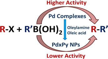 Graphical abstract: Palladium(ii)-complexes of bi- and tri-dentate phosphine ligands: precursor for palladium–phosphorous nanoparticles and activity towards Suzuki–Miyaura coupling