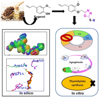 Graphical abstract: Design, synthesis and biological evaluation of new eugenol derivatives containing 1,3,4-oxadiazole as novel inhibitors of thymidylate synthase