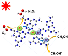 Graphical abstract: Surface reconstructed polymeric carbon nitride with promoted carrier separation for photocatalytic H2O2 production