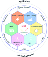 Graphical abstract: Image to insight: exploring natural products through mass spectrometry imaging