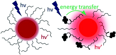 Graphical abstract: Light-harvesting antennae based on copper indium sulfide (CIS) quantum dots