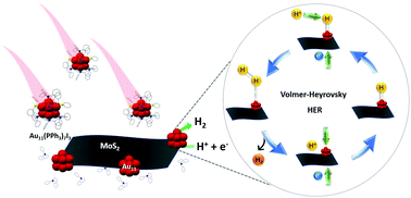 Graphical abstract: Incorporating Au11 nanoclusters on MoS2 nanosheet edges for promoting the hydrogen evolution reaction at the interface