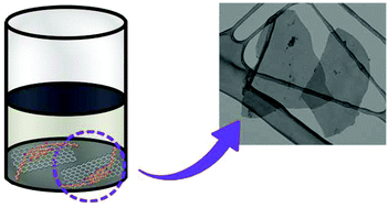 Graphical abstract: Polyaromatic cores for the exfoliation of popular 2D materials