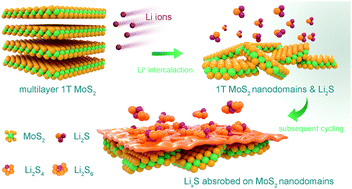 Graphical abstract: Unveiling the relationship between the multilayer structure of metallic MoS2 and the cycling performance for lithium ion batteries