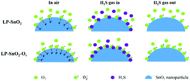 Graphical abstract: Sponge-like loose and porous SnO2 microspheres with rich oxygen vacancies and their enhanced room-temperature gas-sensing performance