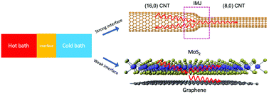 Graphical abstract: Computational predictions of quantum thermal transport across nanoscale interfaces