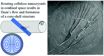 Graphical abstract: Using rotation to organize cellulose nanocrystals inside a fiber