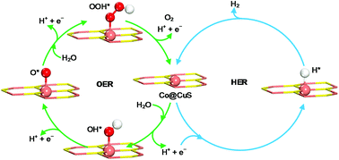 Graphical abstract: Vacancy-mediated transition metals as efficient electrocatalysts for water splitting