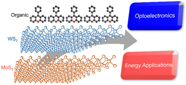 Graphical abstract: Recent progress in 2D hybrid heterostructures from transition metal dichalcogenides and organic layers: properties and applications in energy and optoelectronics fields