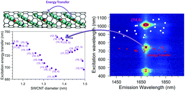 Graphical abstract: Diameter-dependent single- and double-file stacking of squaraine dye molecules inside chirality-sorted single-wall carbon nanotubes