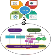 Graphical abstract: A review on chiral metal–organic frameworks: synthesis and asymmetric applications
