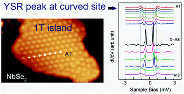 Graphical abstract: Observation of a Yu-Shiba-Rusinov state originating from the magnetic moment in a curved monolayer island of 1T-phase NbSe2