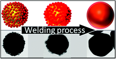 Graphical abstract: Design and fabrication of bimetallic plasmonic colloids through cold nanowelding